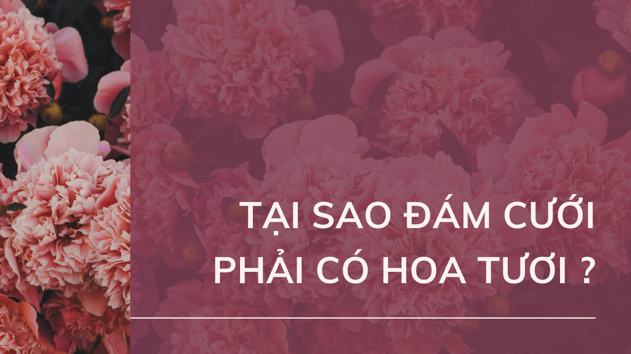 phải có hoa tưới