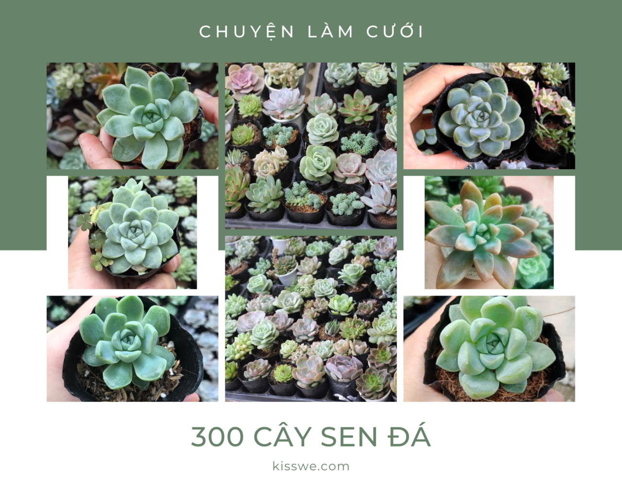 chuyện làm cưới